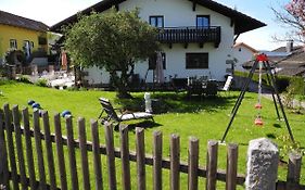 Ferienwohnungen Hauner